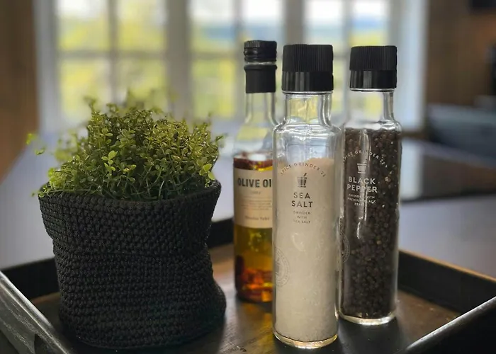 Modern With River Frontage Near Opphus *